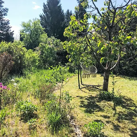 Holiday home Alva By Interhome Langewahl